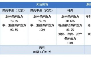 踢足球两大天王是哪两个，踢足球两大天王是哪两个人