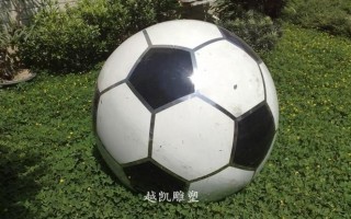 上海闵行足球公园要钱吗，上海闵行体育公园足球场